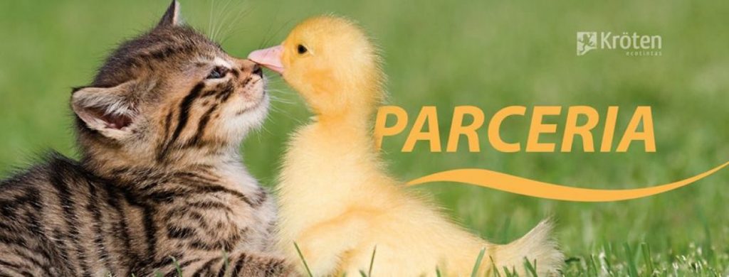 Líder em Tinta Mineral no Brasil