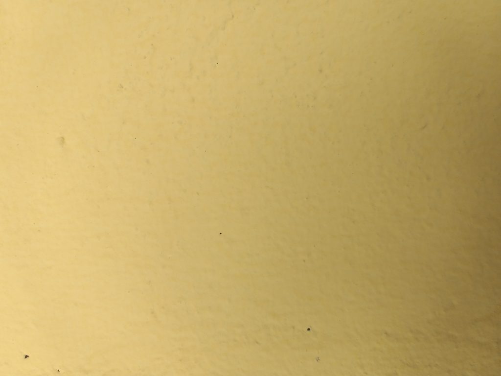 Líder em Tinta Mineral no Brasil